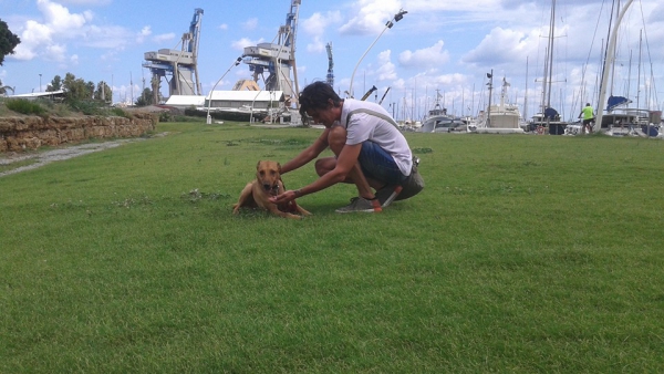 CORSO EDUCAZIONE DI BASE