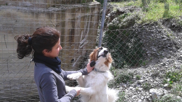 TERAPIE MEDICHE A DOMICILIO
