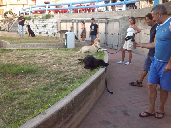 PASSEGGIATE CITTADINE A 6 ZAMPE